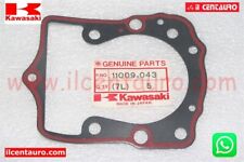 11009-043 ORIGINAL CYLINDER