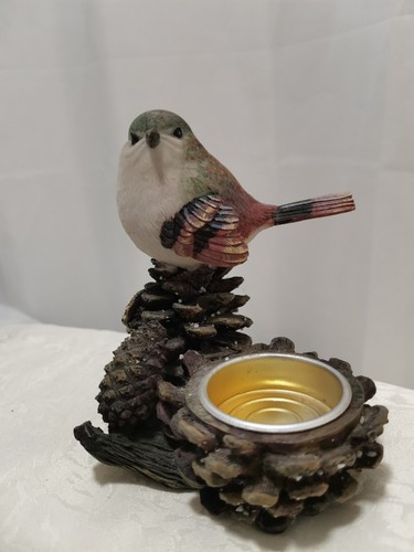Bird sitting pine cone - on,
