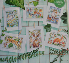 Set Of Wild Animal Cards Any