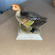 Vintage Goose Duck Pintail