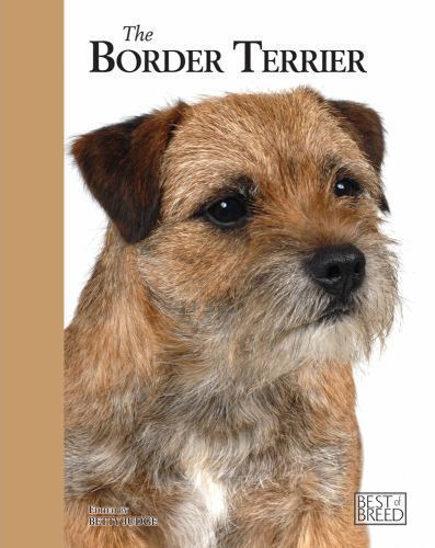 Border terrier best - -, of