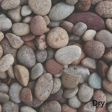 Decorative Garden Stone Pea