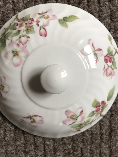 Wedgewood apple blossom - apple, dinner