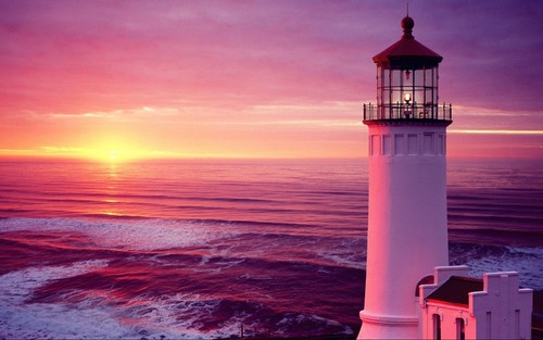 Lighthouse sea pink - pink, sunset