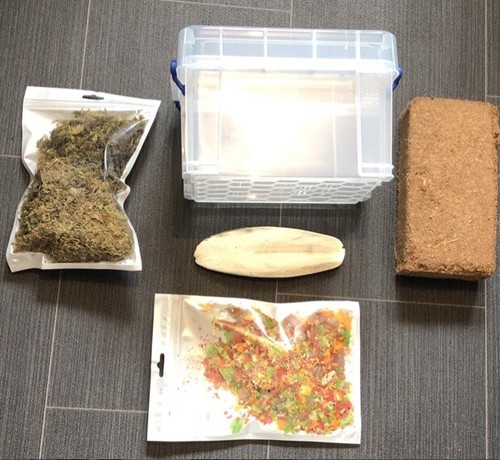 Advanced starter kit - kit, for