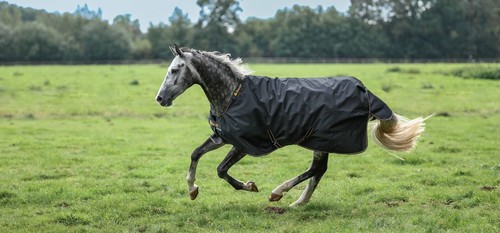 New bucas irish turnout rug - irish,