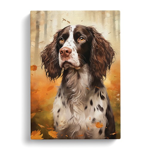 English springer spaniel - springer,