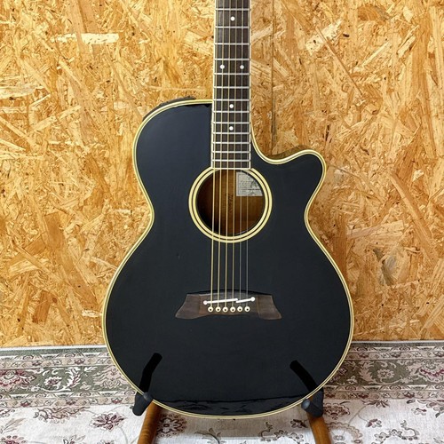 Takamine 108 acoustic - takamine,