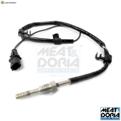 Exhaust gas temperature sensor - exhaust,