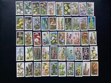 Cigarette cards - Wills - Wild