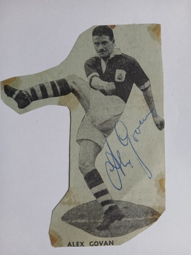 Alex govan birmingham city - alex,