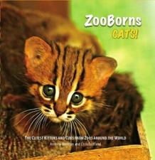 ZooBorns: Cats: The Newest and