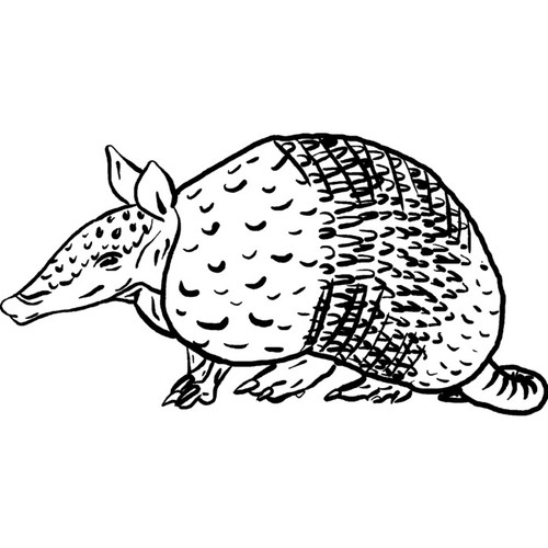 Armadillo unmounted rubber - 'armadillo',
