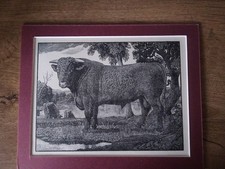 Charles Tunnicliffe, Artist 