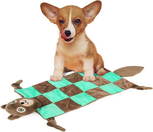 All for paws - for,