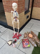 How Your Body Works Billie