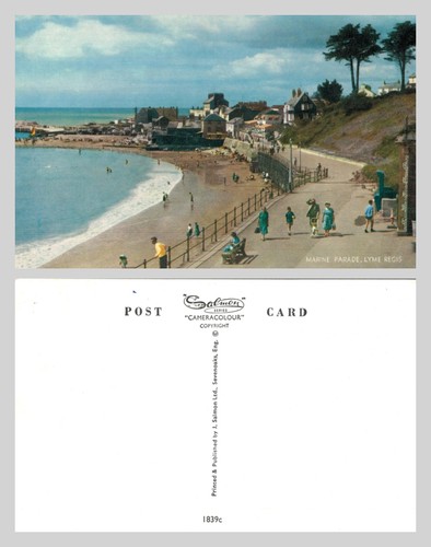 Postcard marine parade lyme - -, parade,