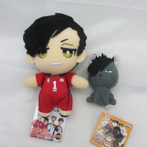 Tetsuro kuroo plush doll - kuroo,