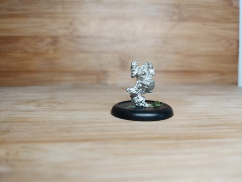 Privateer press hordes - privateer, g