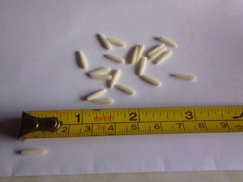 Loose soft small - soft, ngt