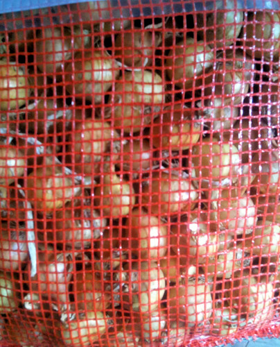 New seasons pickling onions