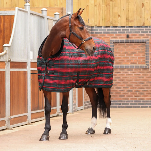 Shires tempest plus 200 stable - plus,