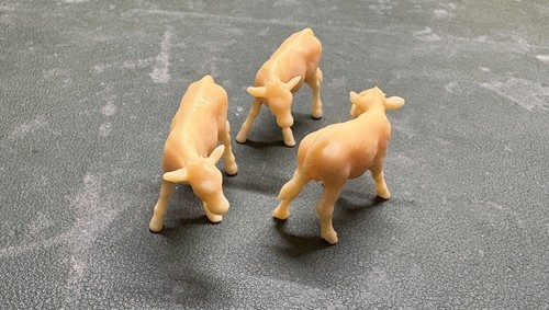 Farm calf resin printed in - 3d,