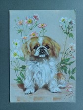 C1960s PC PEKINGESE DOG AMONG FLOWERS by MABEL GEAR, MEDICI