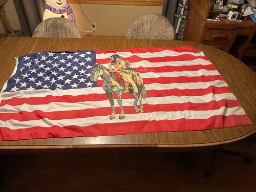 Usa indian horse - flag, 3x5