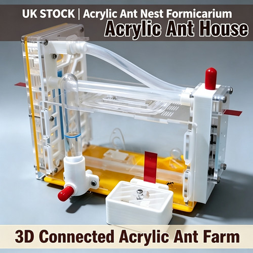Acrylic ant nest formicarium - ant,