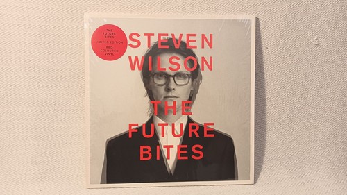 Steven wilson the future - steven,