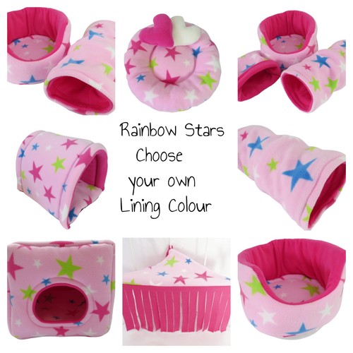 Rainbow stars guinea pig - rainbow,