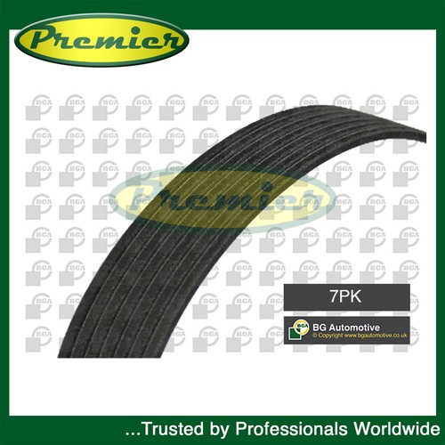 Premier alternator belt fits - premier,