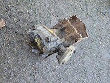 BEDFORD Van, Camper CA? STEERING BOX (RHD) maybe