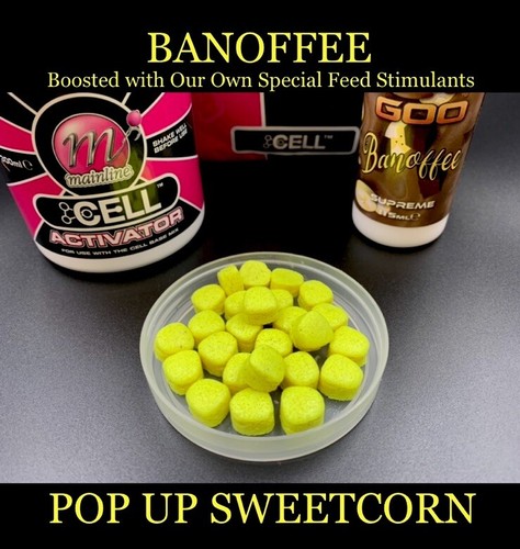 Boilies mainline cell - boilies,