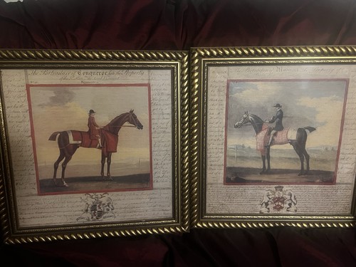 Black horse - horse, &