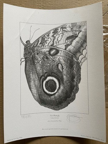Gary hodges limited edition - limited,