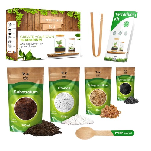 Diy glass terrarium kit - glass,