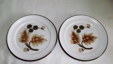 2 x Denby  COTSWOLD Side