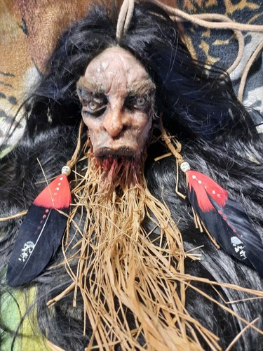 Museum quality shrunken head - museum,