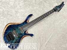 Skervesen Swan 7 Used Electric
