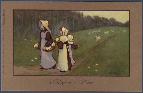 Primrose time art postcard - primrose,