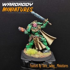 Pro Painted Warhammer 40k