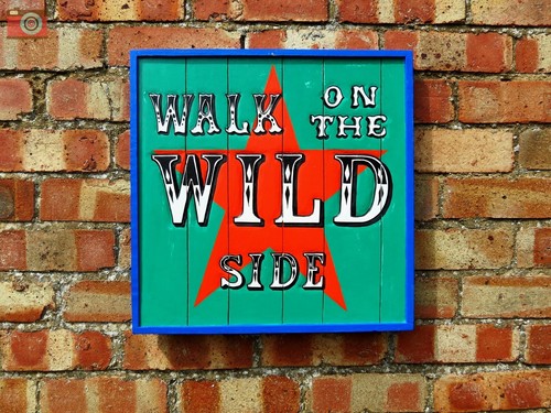 Fabulous hand made walk - fabulous,