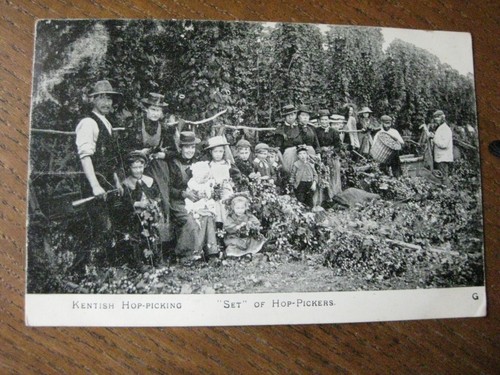 Kentish hop picking - hop-picking, set