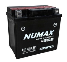 YTX5L-BS Compatible Numax Motorbike Battery