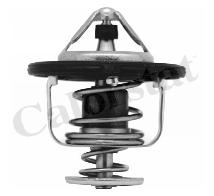 New thermostat coolant for - new, thermostat,