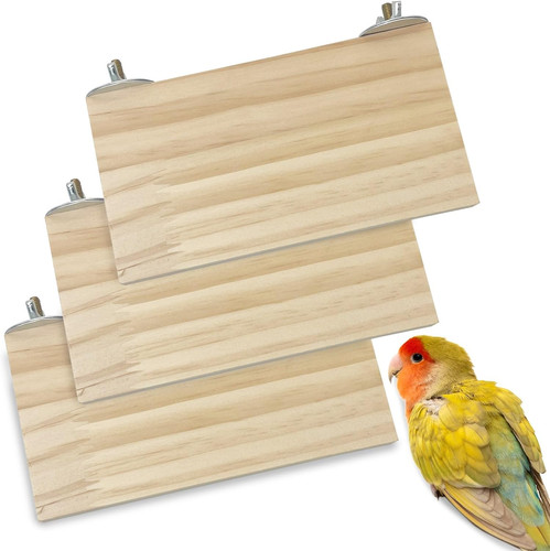 Bird wood platform parrot - bird,