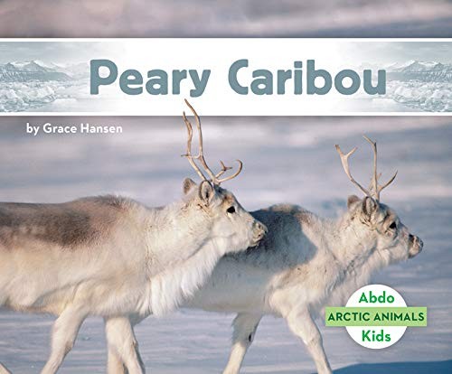 Peary caribou - caribou, (arctic