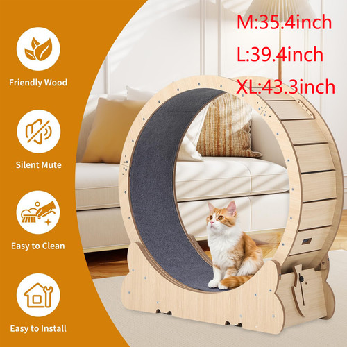 Cat exercise wheel cats - cat,